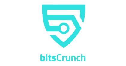PORTFOLIO Csp DAO - Bits Crunch