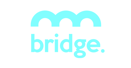 PORTFOLIO Csp DAO - Bridge Mutual