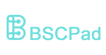 PORTFOLIO Csp DAO - BCSpad