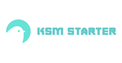 PORTFOLIO Csp DAO - KMS Starter