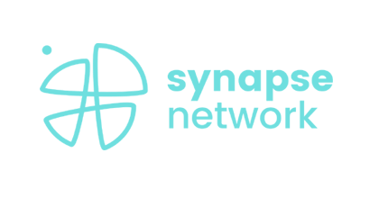 PORTFOLIO Csp DAO - Synapse